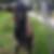 Photo de profil de Fred Coppin