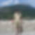 Photo de profil de Nicolas Cluet