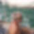 Photo de profil de Alain Equilbecq