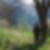 Photo de profil de Nicole Carpentier