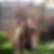 Photo de profil de Annick Jardin