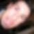 Photo de profil de Pierrick Bougault