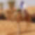 Photo de profil de Samir Amine Amazit