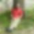 Photo de profil de Bruno Alexandre