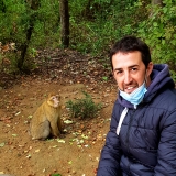 Photo de profil de Sebastien Decker