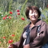 Photo de profil de Dominique Brun