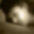 Photo de profil de Marjorie Divorne