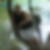 Photo de profil de Angeline Juan