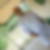 Photo de profil de Jerome Robert