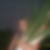Photo de profil de Denise Prevot