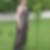 Photo de profil de Josiane Dehier