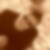 Photo de profil de Florian Gallon