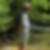 Photo de profil de Laurent Louis