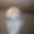 Photo de profil de Laurent Spia