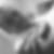 Photo de profil de Sebastien Daver