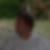 Photo de profil de Gimenez Joel