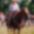 Photo de profil de Gérard Lambert