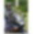 Photo de profil de Pascal Stalin