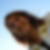 Photo de profil de Nathalie Torres