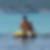 Photo de profil de Regis Arruebo
