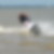 Photo de profil de Thierry Hardouin