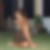 Photo de profil de Claire Groult