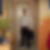 Photo de profil de Teddy Meisz