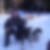 Photo de profil de Denis Bonel
