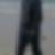 Photo de profil de Laurent Levert