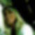 Photo de profil de Da-Silva Annabelle