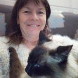 Photo de profil de Isabelle Droual