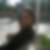 Photo de profil de Caroline Guedes