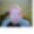 Photo de profil de Clint Fabre
