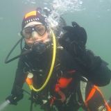 Photo de profil de Isabelle Vallois