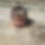 Photo de profil de Felix Barthe