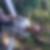 Photo de profil de Yinghao Chan
