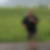 Photo de profil de Philippe Ribouchon