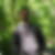 Photo de profil de Alexis Dargelos