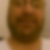 Photo de profil de Jean Pierre Legros