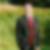 Photo de profil de Cedric Dieumegard
