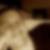 Photo de profil de Franck Mougin