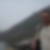 Photo de profil de Christophe Courderot
