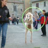 Photo de profil de Catherine Codron
