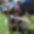 Photo de profil de Agapito Extremera