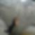 Photo de profil de Lucie Chapot