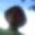 Photo de profil de Rémi Grandsire