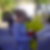 Photo de profil de Christine Vanden Dooren