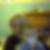 Photo de profil de Chantal Chenot