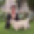 Photo de profil de Giuseppa Sipione