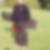 Photo de profil de Gerard Bougardier